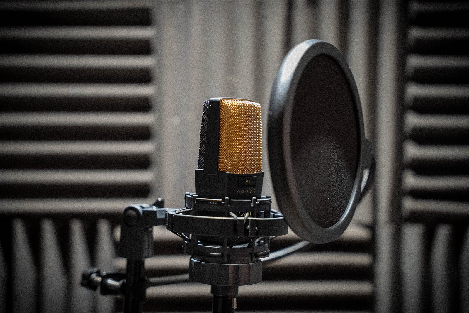 Microphone with pop filter